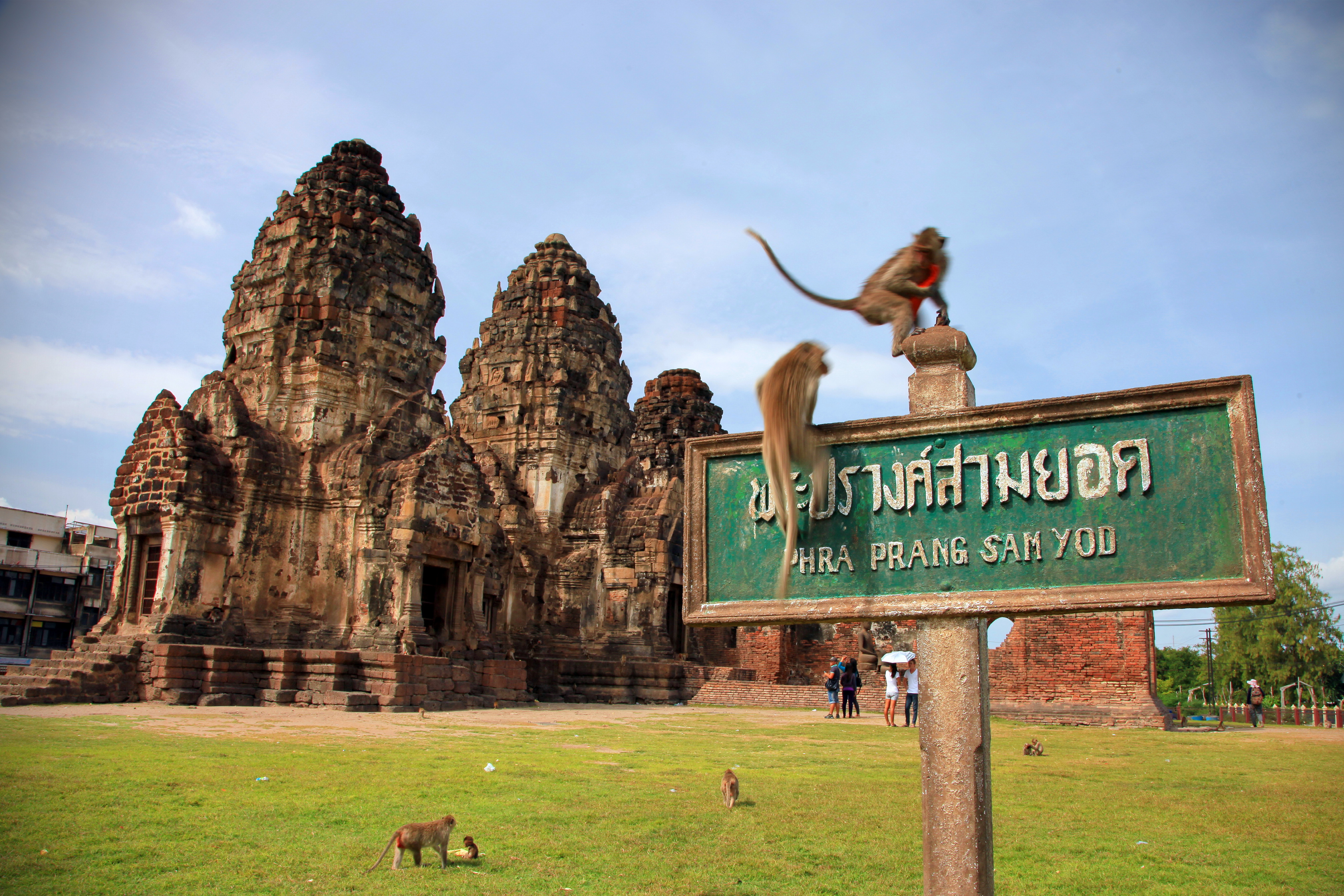 Una visita inolvidable a la Ciudad de los Monos - Tailandia Gran Viaje Bangkok, alrededor de Tailandia y Krabi